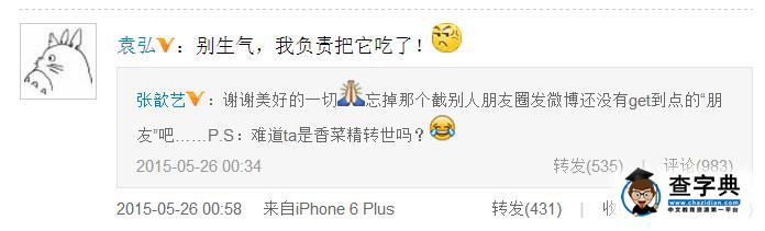 張歆藝不滿男友私人言論遭曝光 袁弘安慰1
