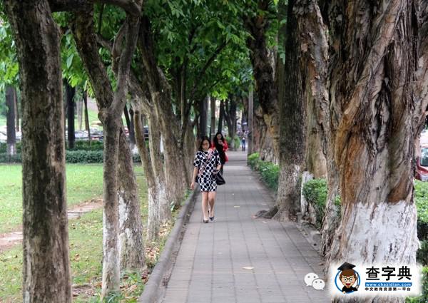 華南理工，從你的全世界路過17