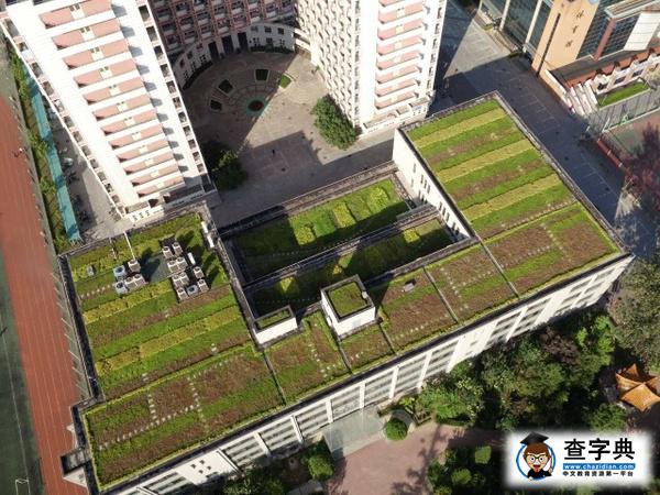 【國醫·資訊】北中醫校內微信公眾號排行榜（10.96
