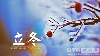 細雨生寒未有霜，立冬的餃子吃了嗎？1