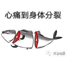 “帶錯魚孩子”成網紅 父親：鯉魚難吃就給他玩20