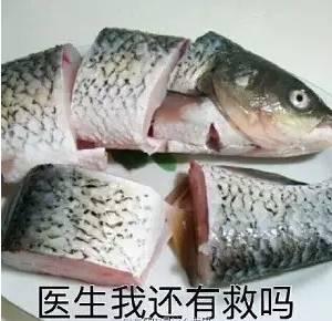 “帶錯魚孩子”成網紅 父親：鯉魚難吃就給他玩2