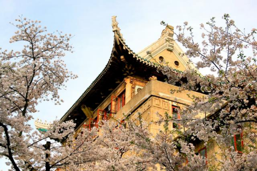 這些你一定不知道！盤點中國大學之“最”19