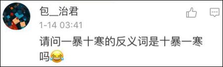 紐約高中中文試卷流出 中國網友自稱學到假中文21