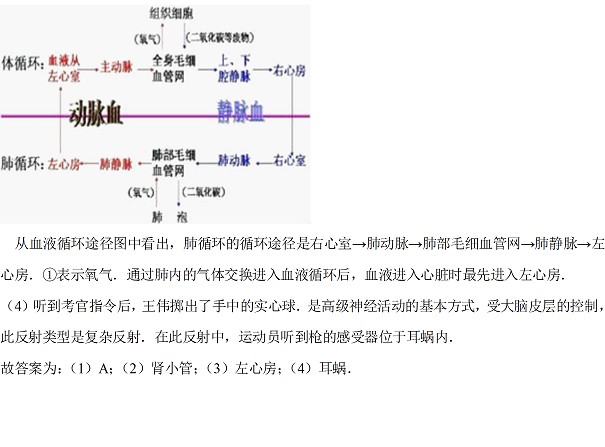 河北2017年中考生物試題及參考答案22