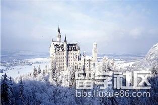 美國各大學紛紛改名字，只為了吸引中國留學生1