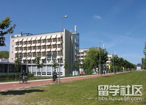 伊利諾斯大學芝加哥分校留學 成人與老年護理專業推薦3