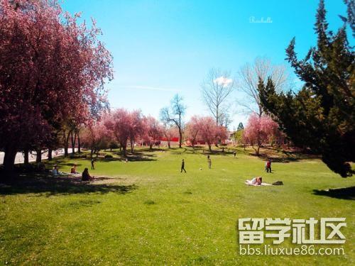 美國內華達大學精神病學專業詳細介紹3
