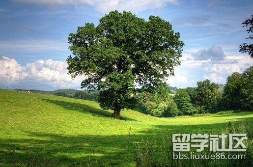 美國埃默里大學急癥護理專業詳細介紹3