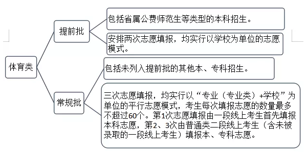 山東：2020年高考招生錄取變化4