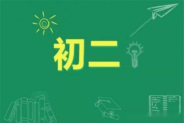 初二分化，原因：青春期、個性與人際關系、家庭干擾、社會的影響1